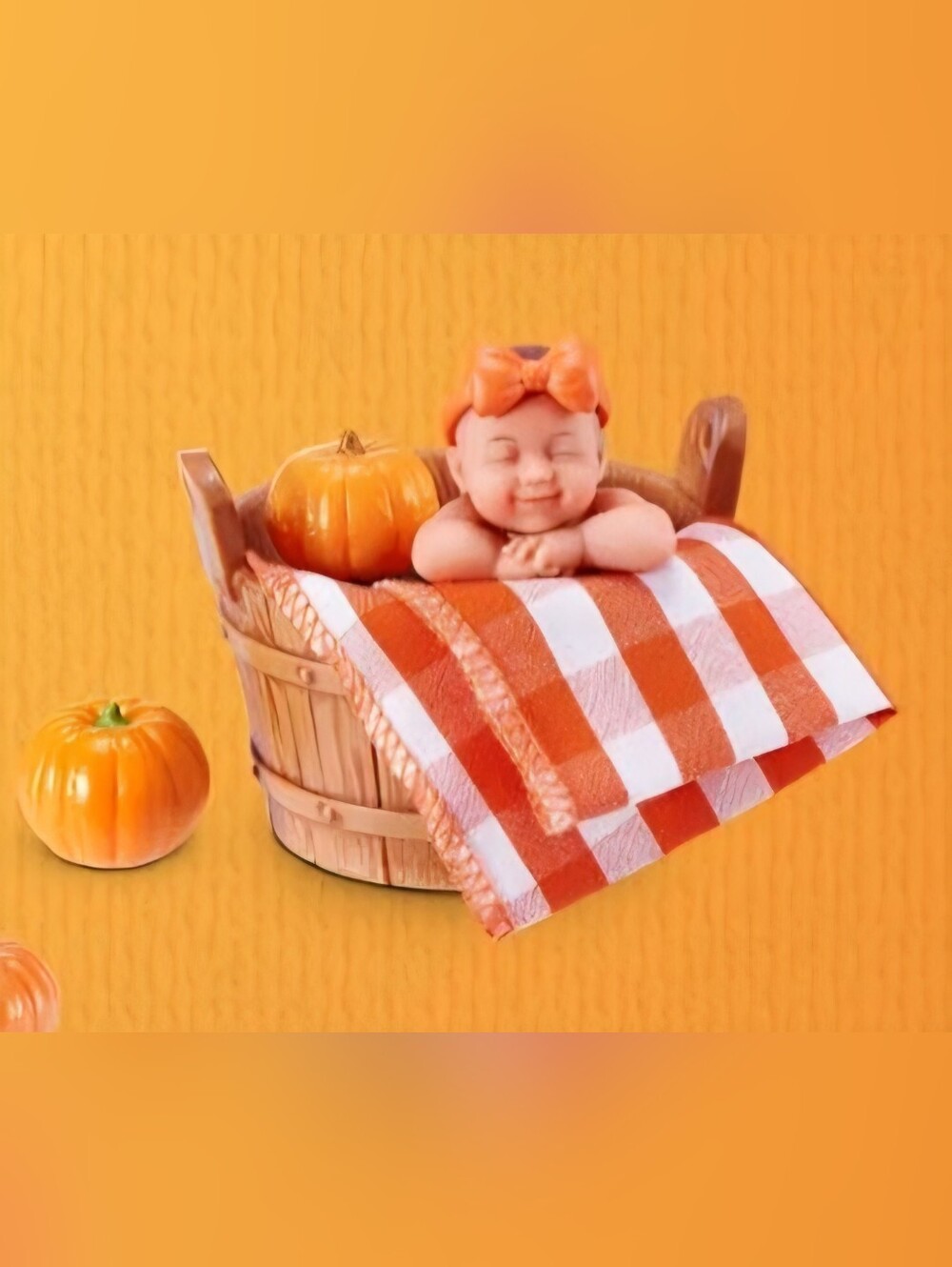 My Mini Baby Pumpkin Patch